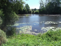 Le Moulin de Roche